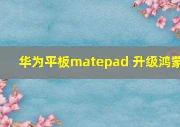 华为平板matepad 升级鸿蒙